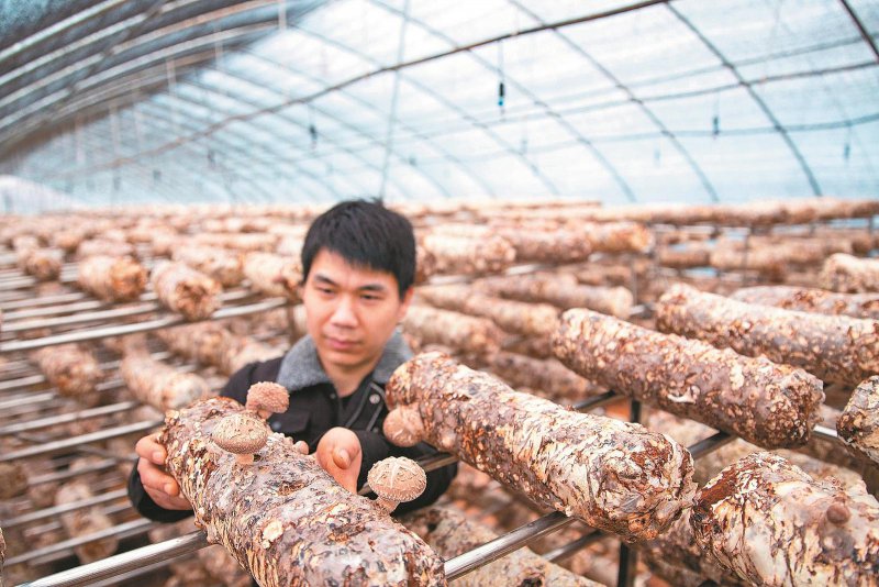 650e3c21ffcc489893cc007e60ce3bd1_W020260119242124706126