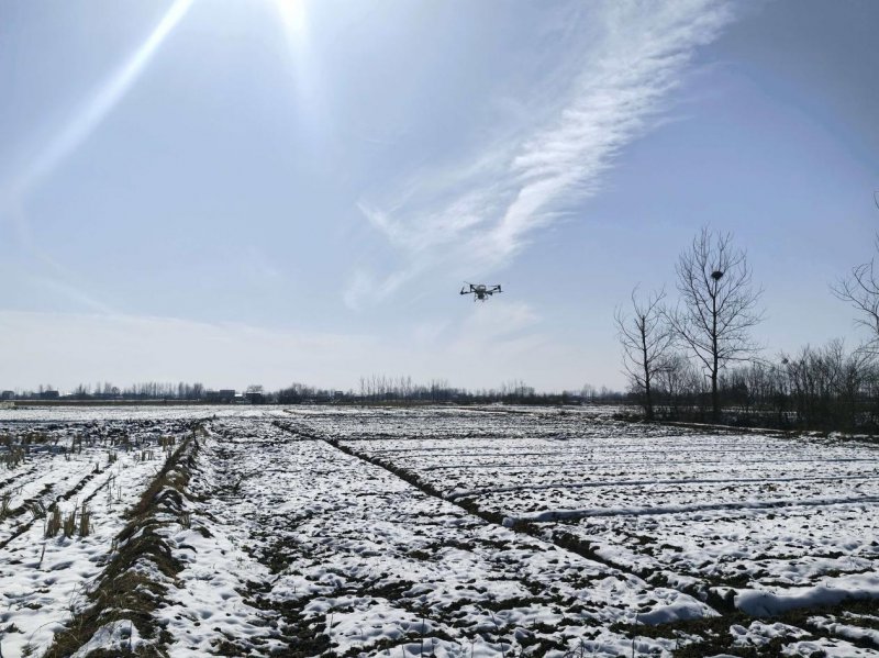 寿县隐贤镇：精准施策 筑牢小麦丰产“压舱石”