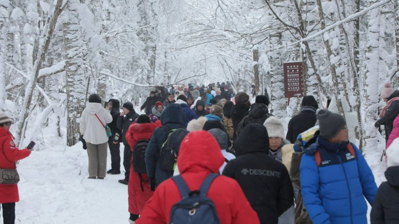 冰雪春天 | 从“猫冬闲”到“忙赚钱” 冰雪经济点亮农民致富路