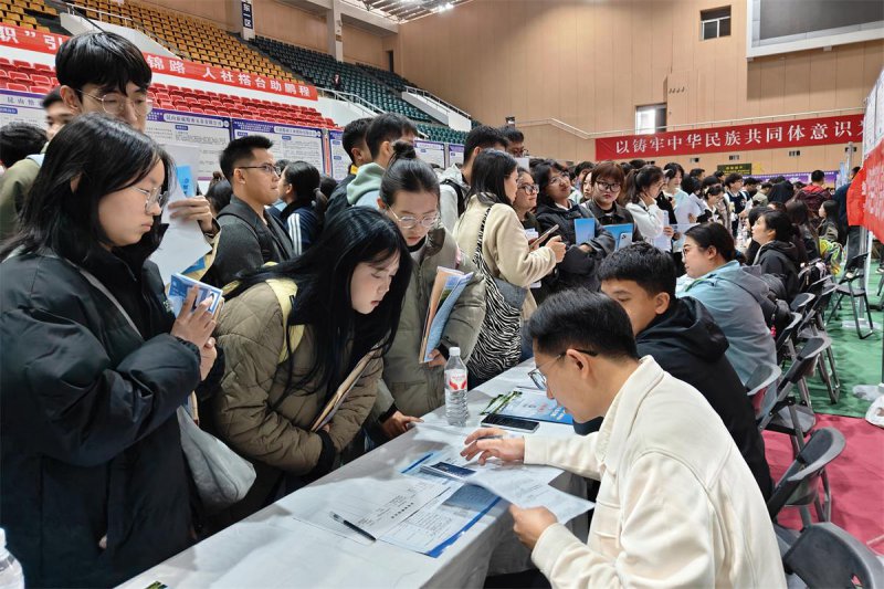 芜湖湾沚镇：“三个聚焦”提升招才引智成效