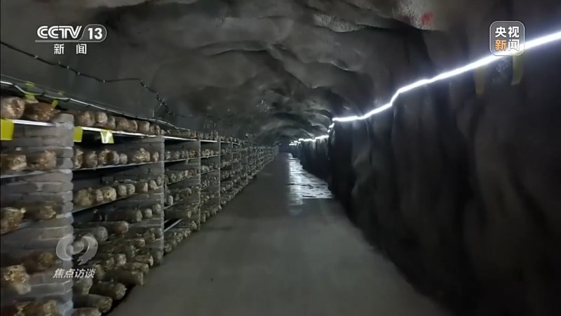 焦点访谈丨“生态赤字”如何变为“美丽经济”？这些乡村给出了答案