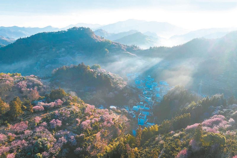 ad4fdf70f85a73f250fdb02796d88a8a_W020260211238580314230