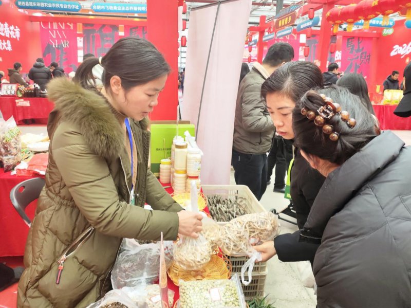 肥西丰乐镇：党建引领聚合力 特色展销促振兴
