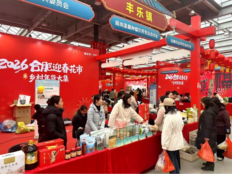 肥西丰乐镇：党建引领聚合力 特色展销促振兴