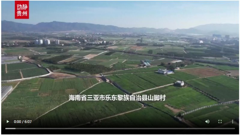 新春走基层丨“借”个夏天种辣椒——贵州辣椒育种团队的南繁故事