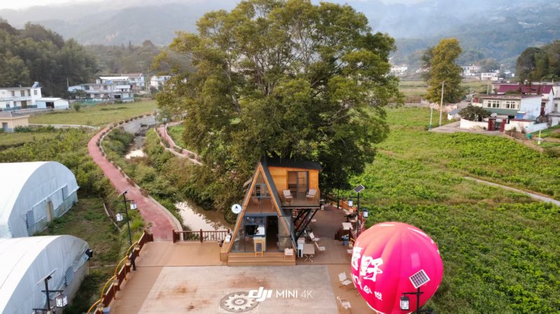 【新春走基层】大别山麓年味浓 莲塘村里振兴忙