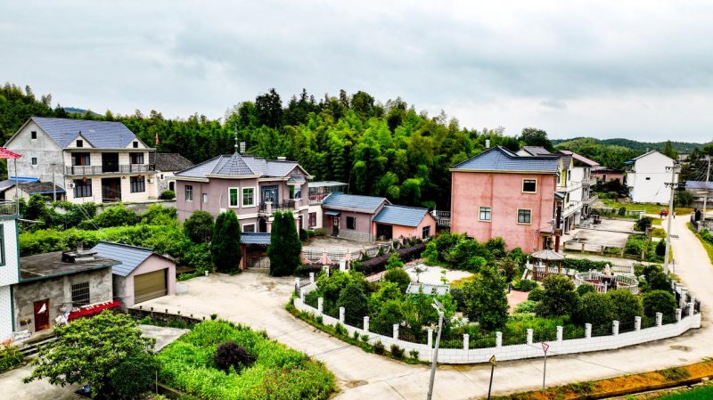 东至县青山乡将改善农村人居环境作为实施乡村振兴战略的重要抓手