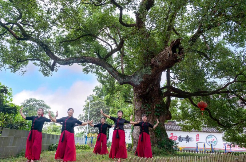 东至县青山乡闲置宅基地化身休闲广场