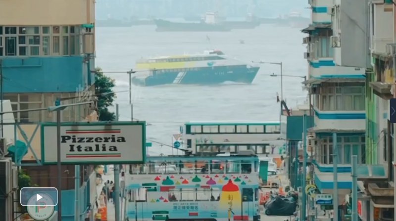 【马年说马】香港漫游记：马钮印章如何见证魏晋民族迁徙？