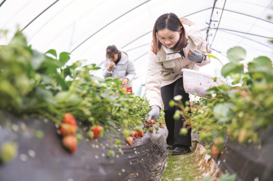 07e5f445ee9d5b11e2515374fd3cd114_W020260302249499017267