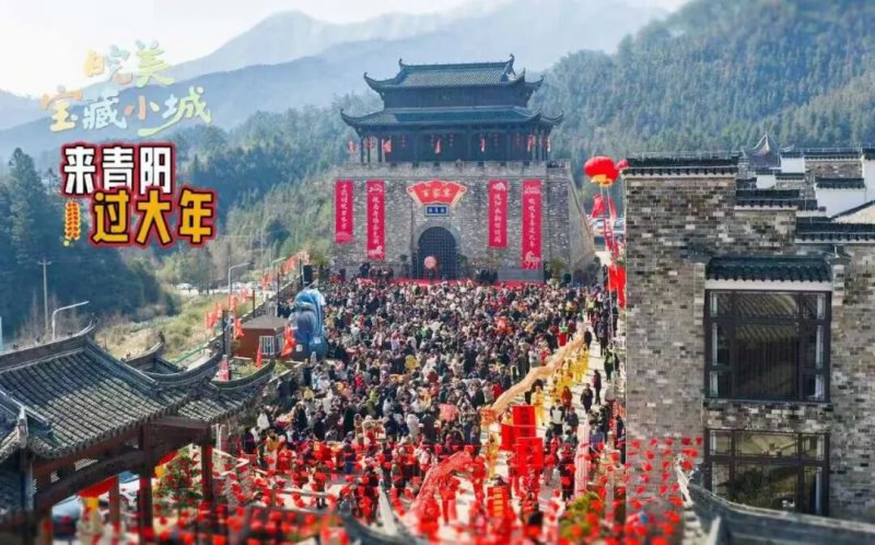 这座皖南小城，凭什么成为年轻人“携宠游”首选