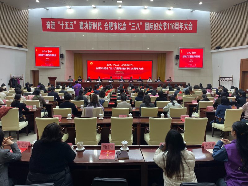 合肥：致敬巾帼力量 共赴奋进新程