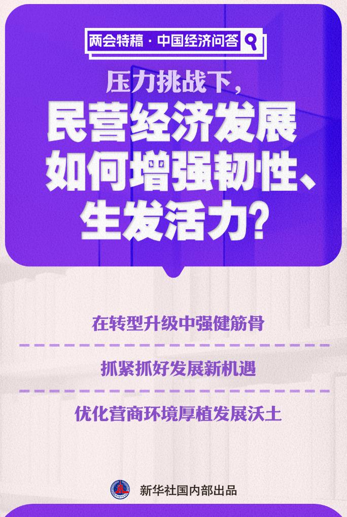 两会特稿·中国经济问答丨压力挑战下，民营经济发展如何增强韧性、生发活力？