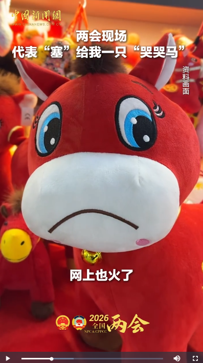 两会现场，代表“塞”给我一只“哭哭马”