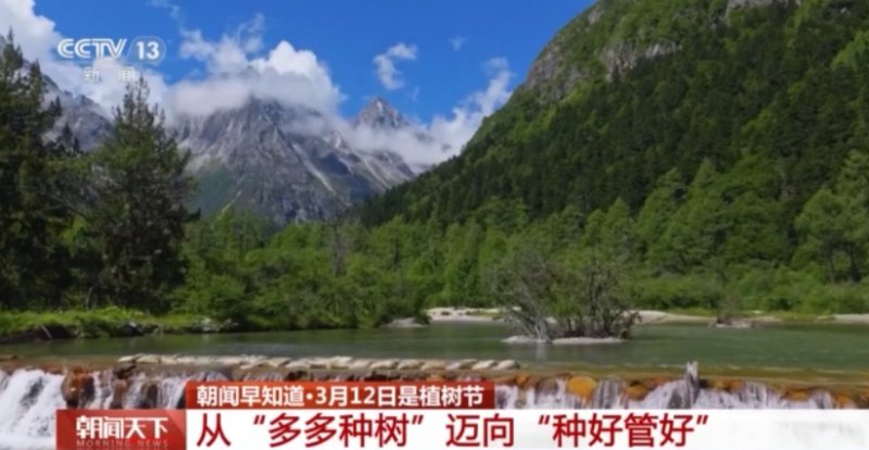 视频丨从“单一林”到“混交林” 多地推动森林精准提质