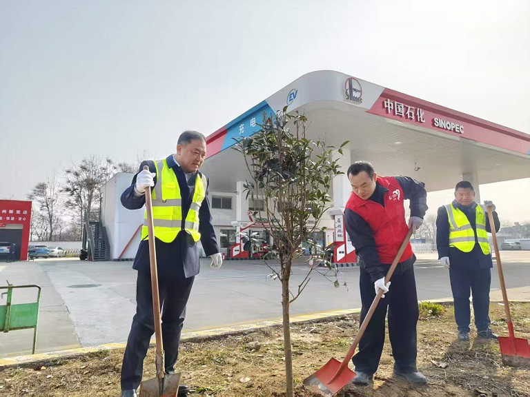 03d8b976dcf65cca0c31a55d150b00f4