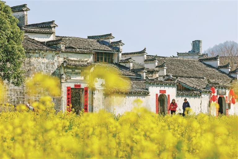 629464f49d8574832e940384ecaa138a_W020260316250618389325