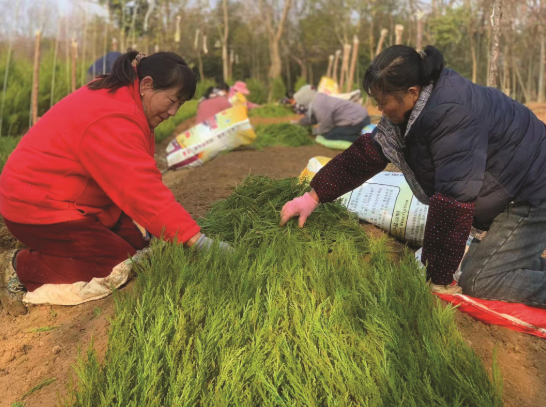 57d8790ed8c3e52c4810771af0c3310f_W020260316248612086786