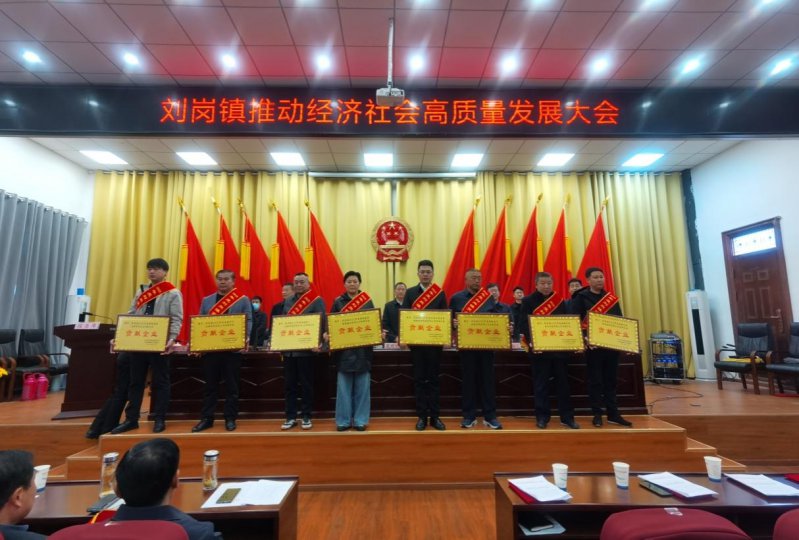 寿县刘岗镇：奋进谋新篇 聚力启新程