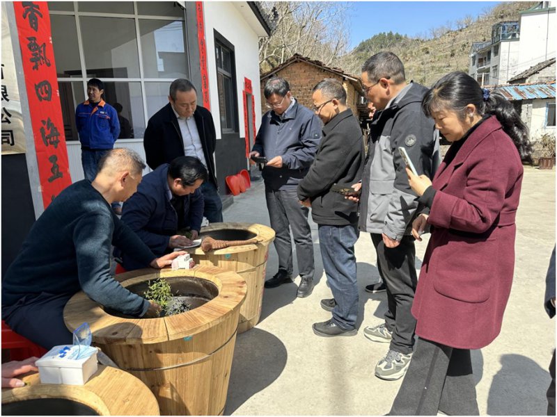 歙县金川乡：科技赋能守匠心 工艺提质铸品牌