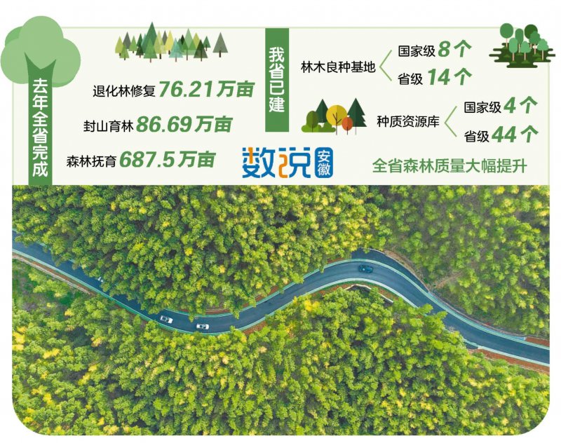 去年全省完成人工造林21.68万亩