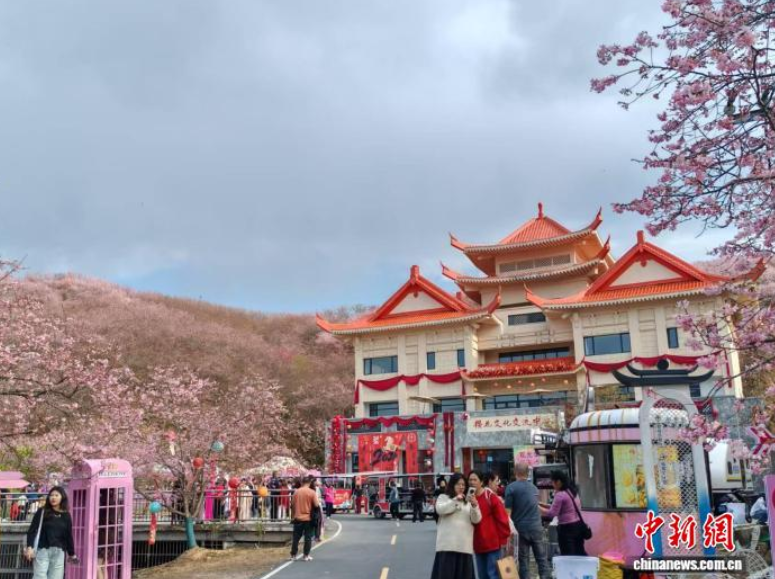 台胞扎根福建三明共绘融合图景