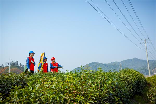 祁门县供电公司：强网保供提质效