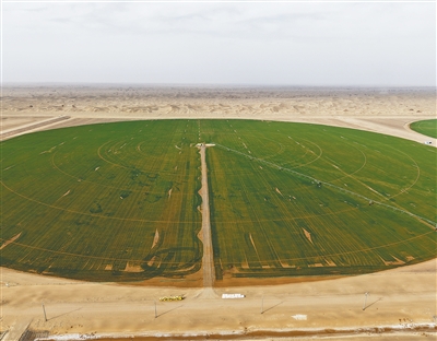 沙漠边也能种小麦（春耕里的新质生产力）