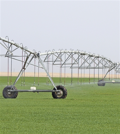 21625f4c928ee2b9602879ad2def9d5f_6971e6ff-7e9d-4205-9756-5cadf8f17a40