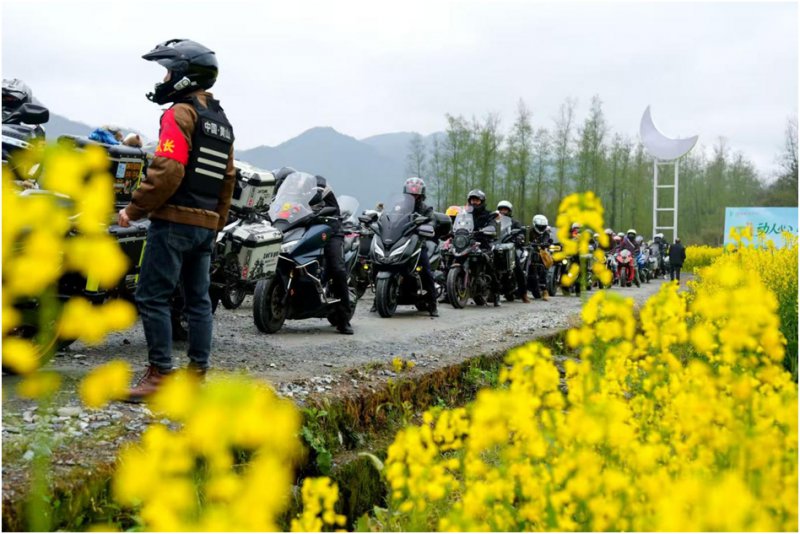 黟县柯村镇：金色花海醉皖南 驰骋逐浪赴春光