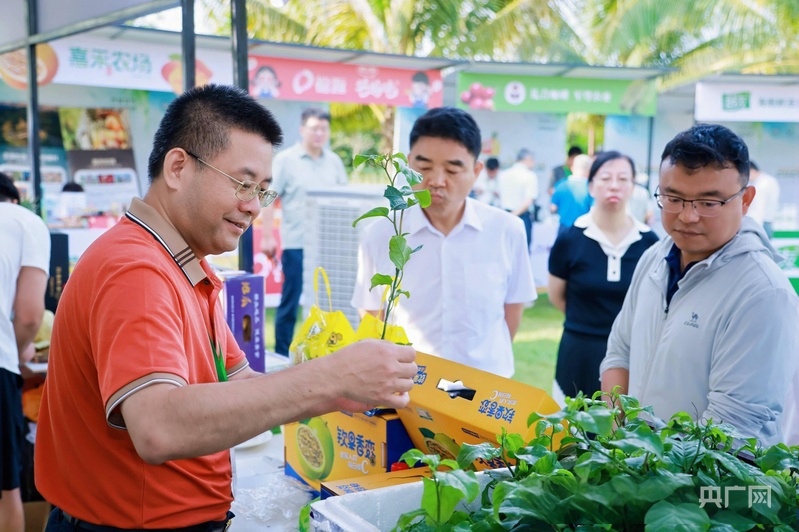 潮起海之南丨热带水果产业何以成为海南自贸港深化国际合作的“甜蜜引擎”？