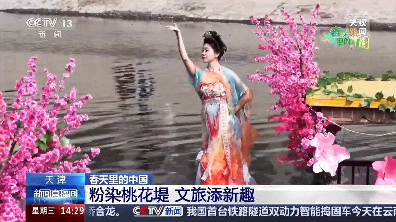 视频丨赏花正当时 多地花海“上新”春日经济