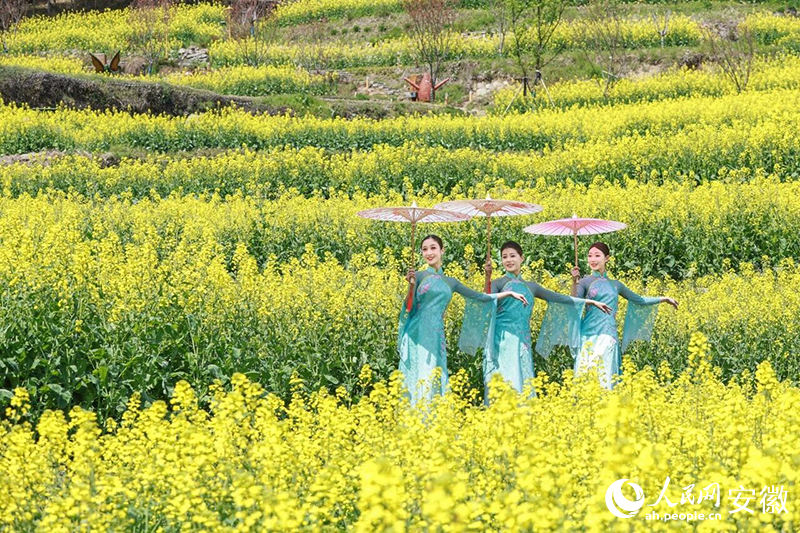 徽州区灵山村，《徽秀》演职人员正在油菜花海中翩翩起舞。人民网记者 张俊摄