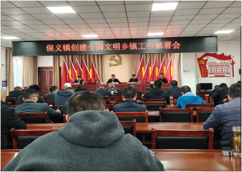 寿县保义镇：镇村联动抓整治 文明创建促提升