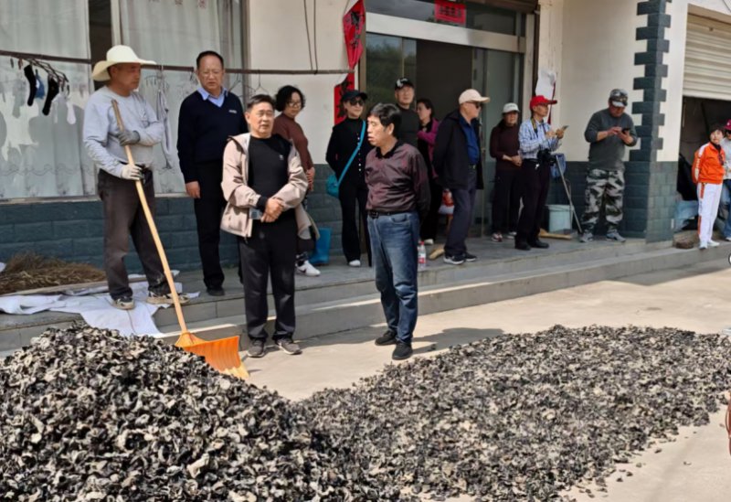 fc55eae1-dc50-42dd-b6bc-c47ba592bbd4