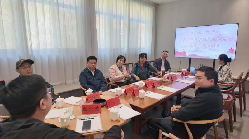 安徽省青少年文化传习专业委员会将成立