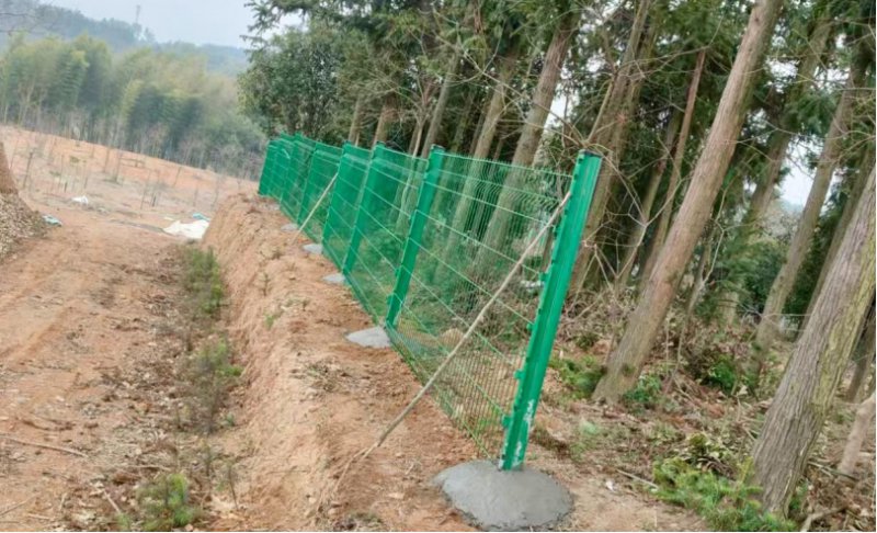 广德：筑起“安心栏” 守护“夕阳红”