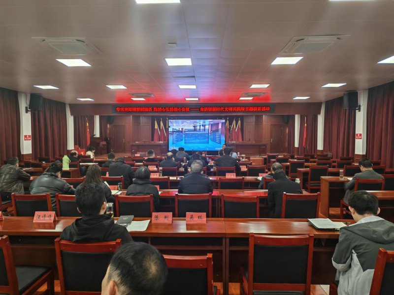 怀宁金拱镇：学党史 践初心 担使命