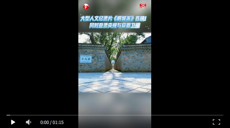 大型人文纪录片《桐城派》于4月3日至4月7日晚黄金时段，在中央广播电视总台央视纪录频道、安徽卫视联合首映。#纪录片桐城派 #读懂桐城派从这部纪录片开始