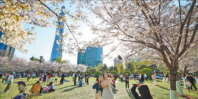 春和景明 踏青旅行（我们的节日·清明） 