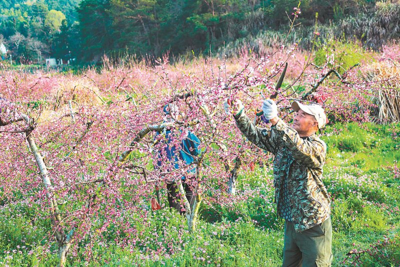 bd7a039d8354a2e89f55b5d86706e9fe_W020260408235153621547