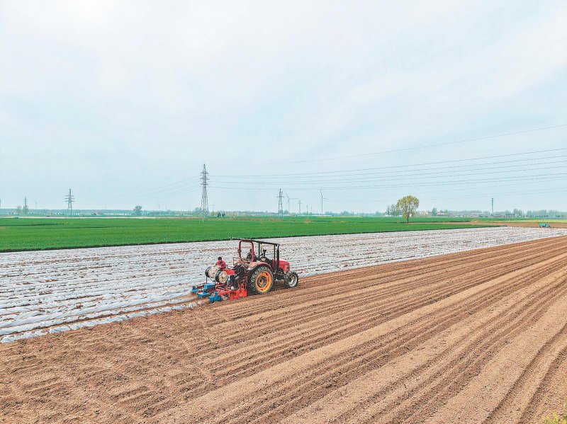 233d3999944e87d72eb357f822482752_W020260408235155689518