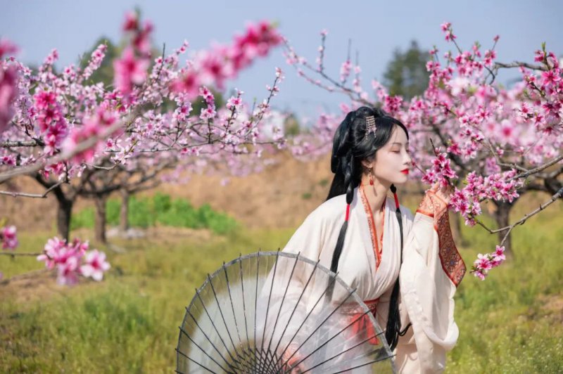 黟县：花海迎客醉游人 林业融合启新程