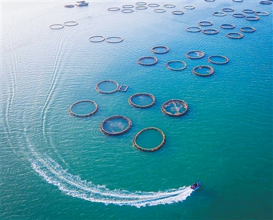 222a8db53bee485c412b566b7aa6f851_030d52f6-1378-414c-b77e-48d22bbd422e