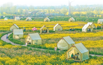 1419d582ddf7a79b95d72c2915fd4531_68bff36a-cb02-4d37-a608-74e35faad13d