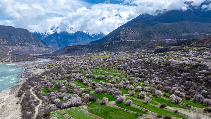 cd46f31372a87358c100fdddf2ff39de_20260410b7208c253e6e48db8cbf72bf6a88e2e4_XxjnzxC000005_20260410_CBMFN0A002