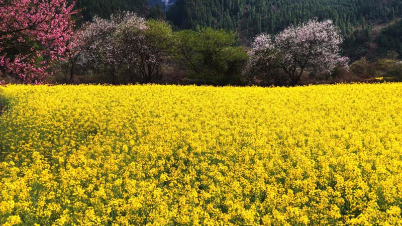 cd38b26a6fce75959a7285b2d67babef_20260410b7208c253e6e48db8cbf72bf6a88e2e4_b926a812ca484b9abee6d5c5f8985bd2