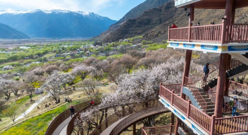 5644a94c1f32bf2937408ead9b884e9d_20260410b7208c253e6e48db8cbf72bf6a88e2e4_b1c9a849c7ee40fe8962846c69cc74eb