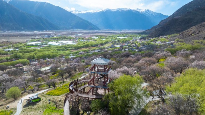 dc51e98565ceb2b4f22bf448a3fdfebc_20260410b7208c253e6e48db8cbf72bf6a88e2e4_d28e9480c71745f0a8aaf73a421f7284