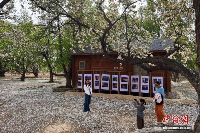 aab38406f80de4305242acf129c9090b_1aafc099-173f-4608-889e-272badb840ac_zsite